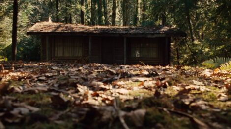 La cabaña en el bosque 4