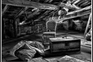 Curiosidad (1era parte)