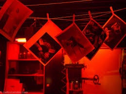 La sombra del bosque