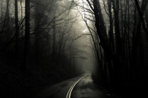 El camino