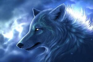 Una noche entre lobos Una noche entre lobos