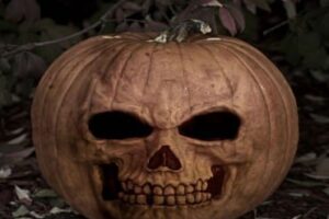 Cuando te quedas solo en casa