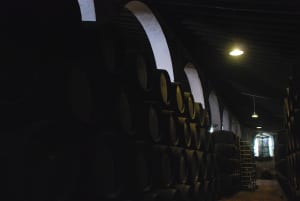 LUCES EN UNA PESADILLA