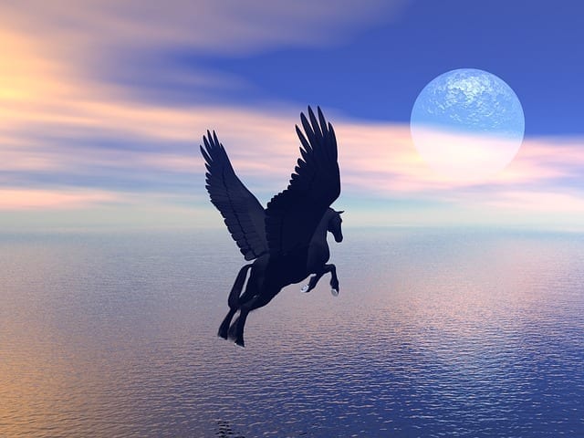 pegasus photo