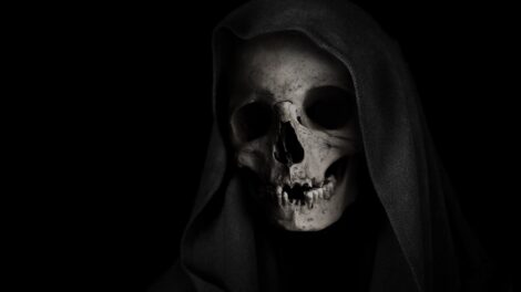 skeleton_1548792045.jpg