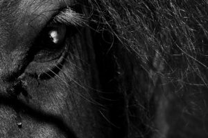 Leyendas celtas de terror