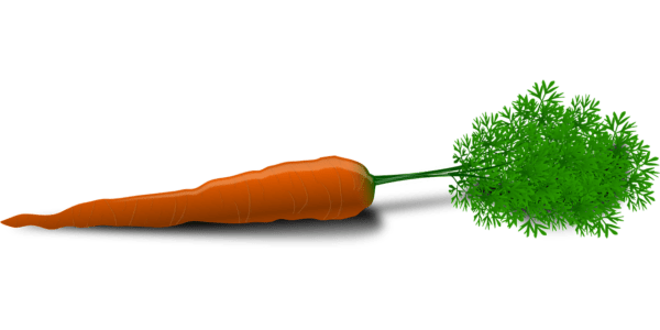 Zanahoria asesina 1